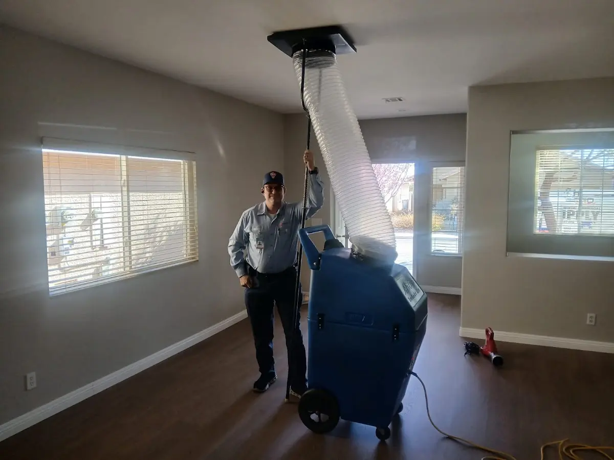 Professional Dryer Vent Cleaning work inside a Williamsburg home
